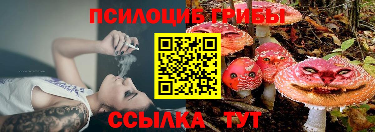 Галлюциногенные грибы Cubensis Химки